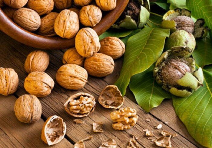 آجیلی که خطر ابتلا به این سرطان را کاهش می‌دهد