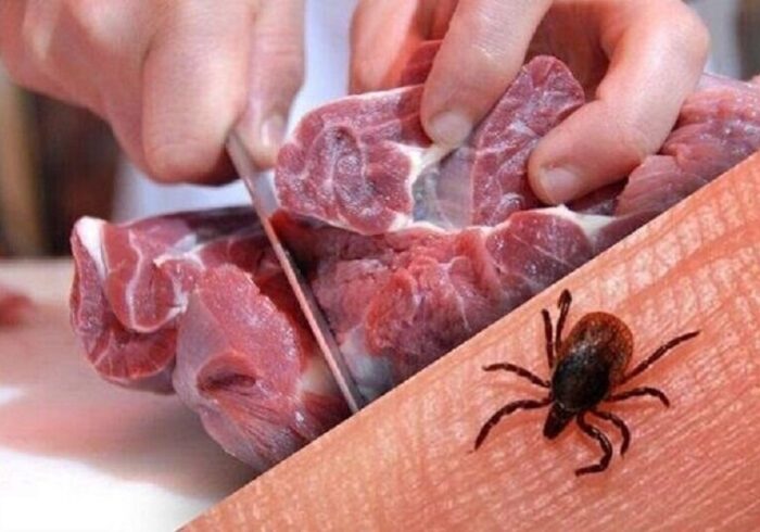فوت بیمار مبتلا به تب خونریزی دهنده کریمه کنگو در این شهر